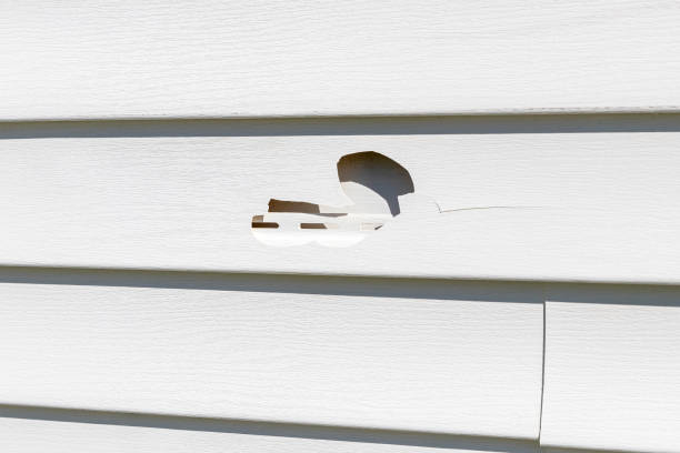 Trusted Louisville, TN Siding Installation & Repair Experts